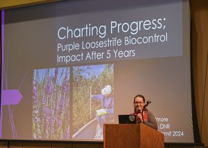 A woman presenter at the podium in front of a projected slide giving her talk entitled, "Charting Progress: Purple Loosestrife Biocontrol Impact After 5 Years"