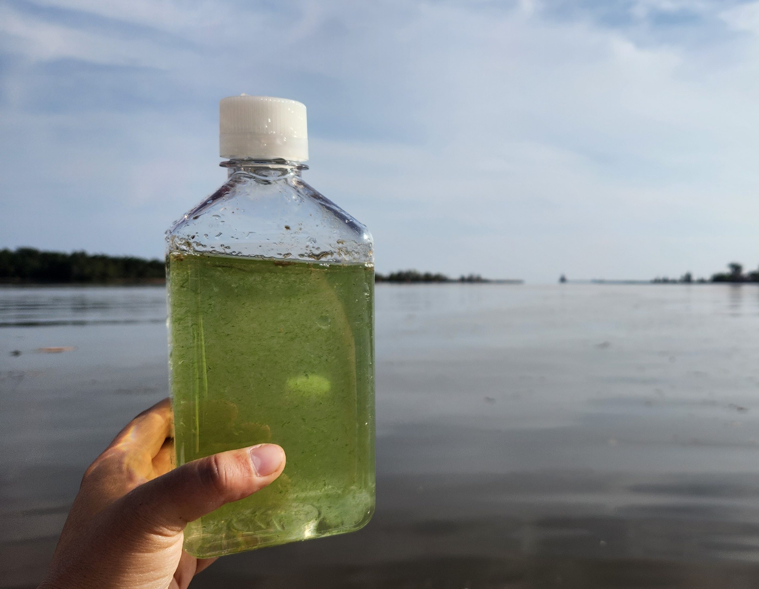 A clear bottle containing greenish-tinted water is held up in front of a waterbody and a mostly blue sky