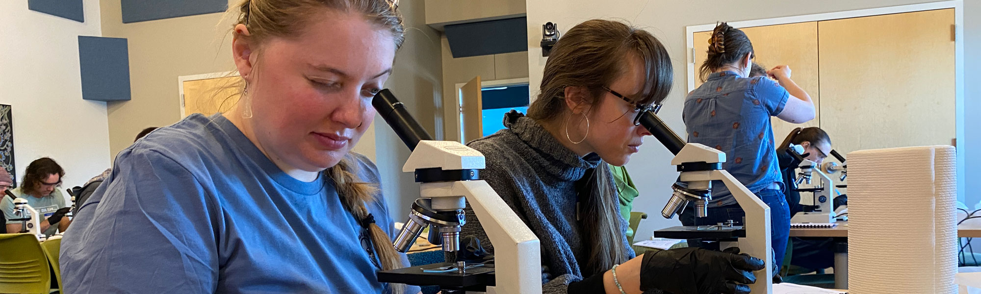 A group of people sitting at long tables using microscopes